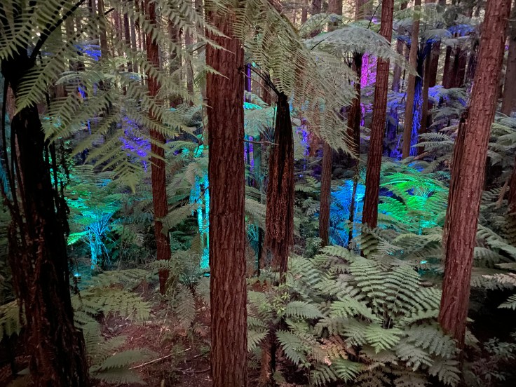 AA1D4211-FBE1-4BD4-9B9C-72CF4EE9A540