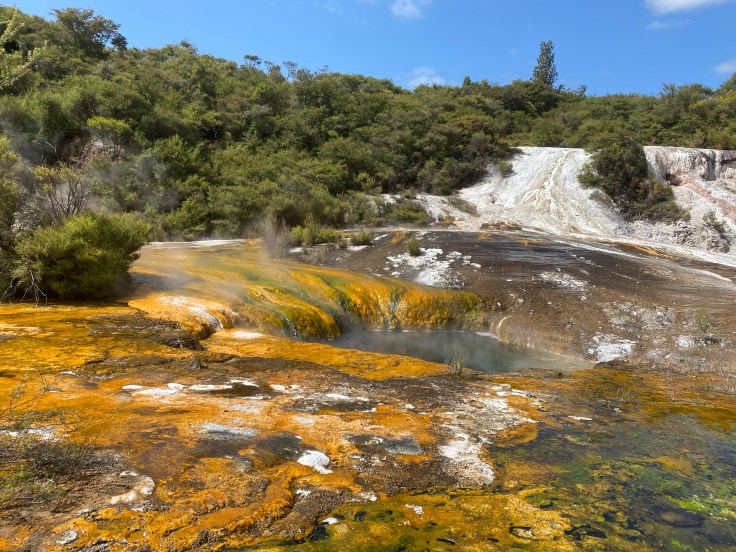 AEBCC10D-D5A4-4CCE-9037-D4624DB676D4