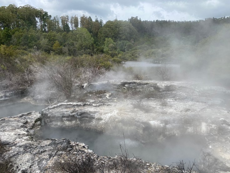 B276427C-1EDD-490C-B134-7F79471CAA74