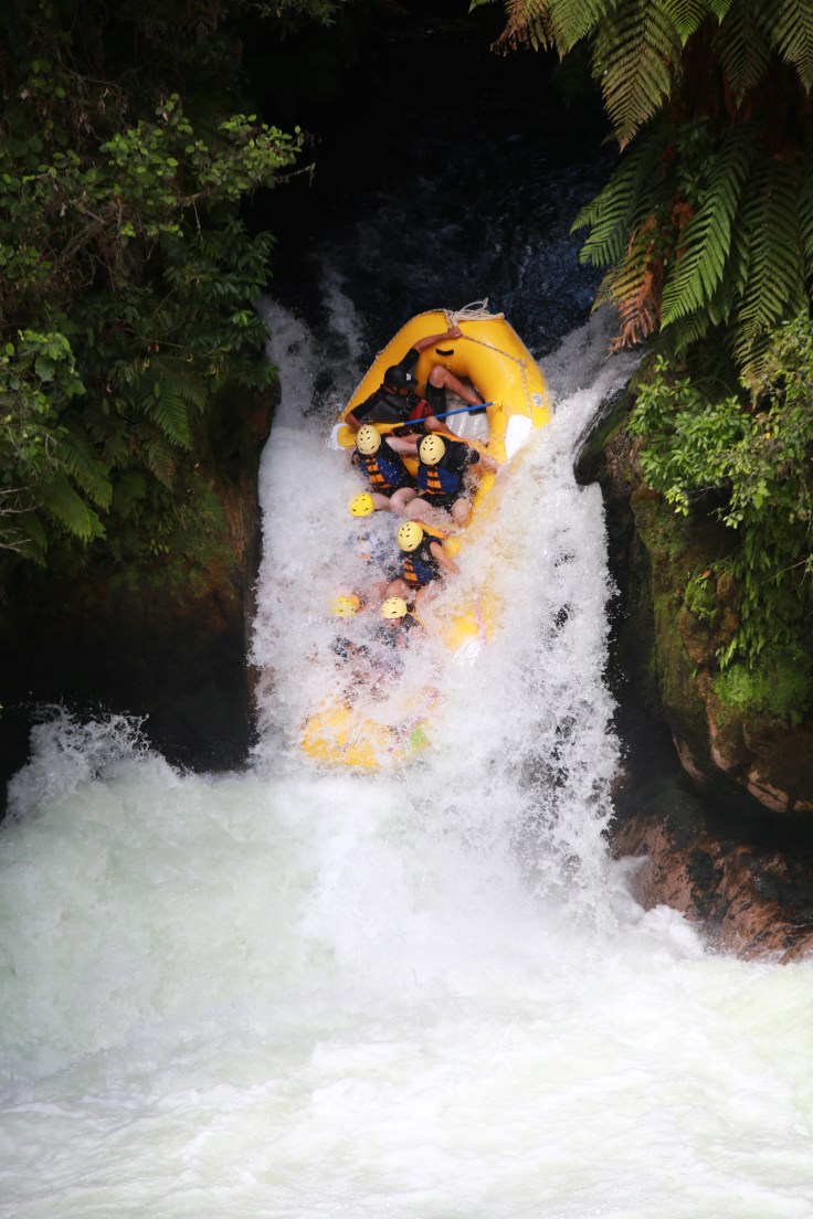 B9DE5F1F-2912-4F4A-A3BB-EAFBCC2F4CE1