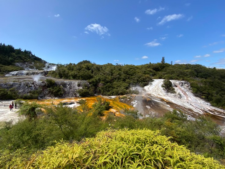 BE1EF5E6-5A0E-457E-A0A7-5F855C93CFD2