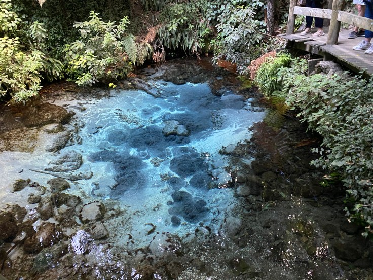 C24121A5-C8EB-4AC2-B8C8-365E9246EFFF