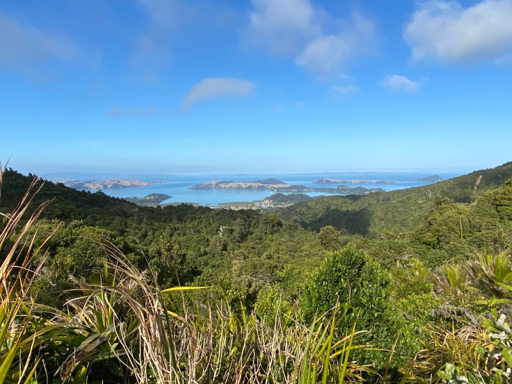 CAD57682-F5C1-423B-9338-D699CE99D3E2