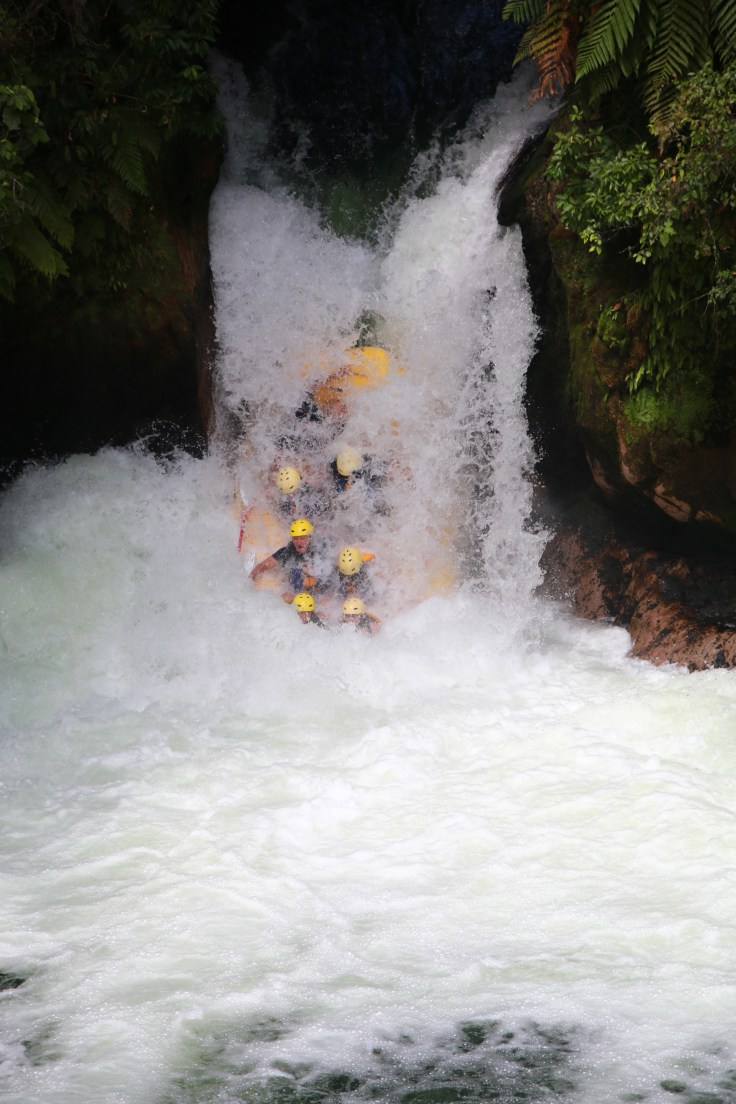 CE4C8ED3-D5C0-499F-BA5F-F93E8FF87A64