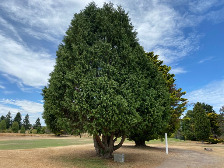 D511DD3B-10B4-4547-8B35-6E1F0EFC6950