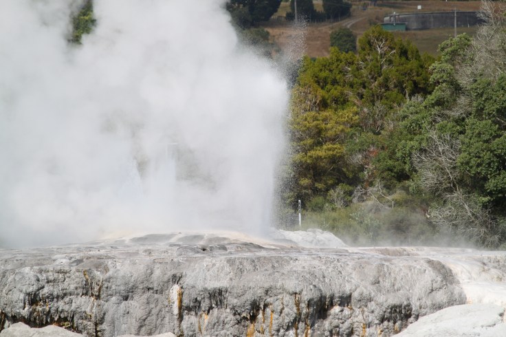 D92E529B-70B1-4FD0-A8F4-6D8895D1E250