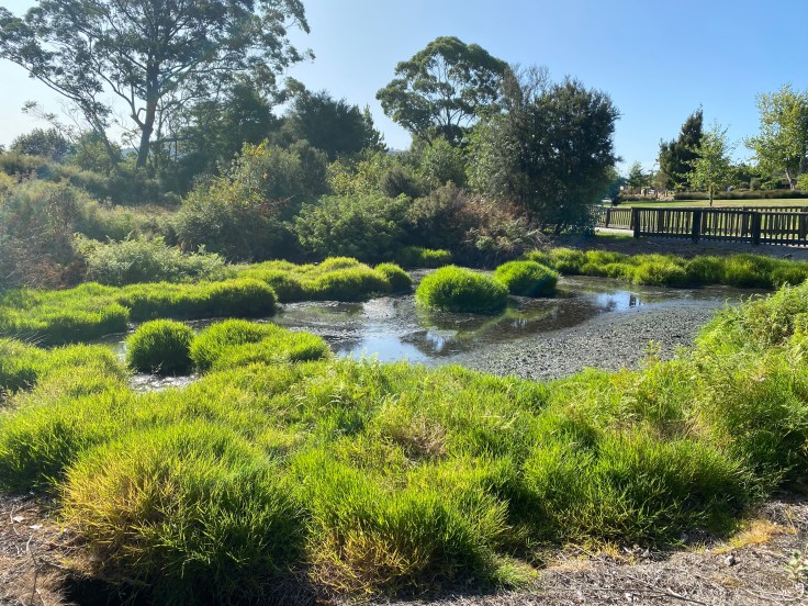 DE685943-941C-416E-AC30-3DC0306E0092