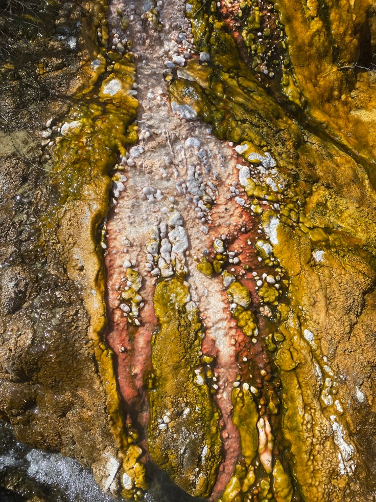 E019D01D-E1D8-424E-8ED7-6AFD904FB1FD