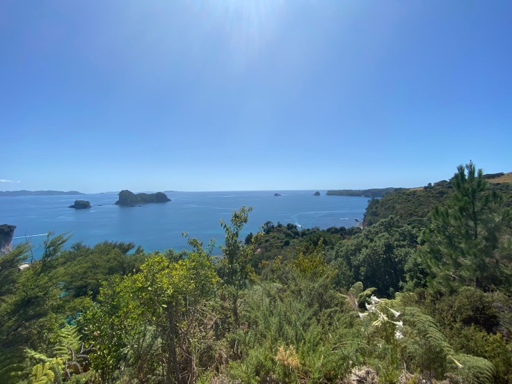 E3B86F55-E8BF-46B5-98A2-D1EBEB339446