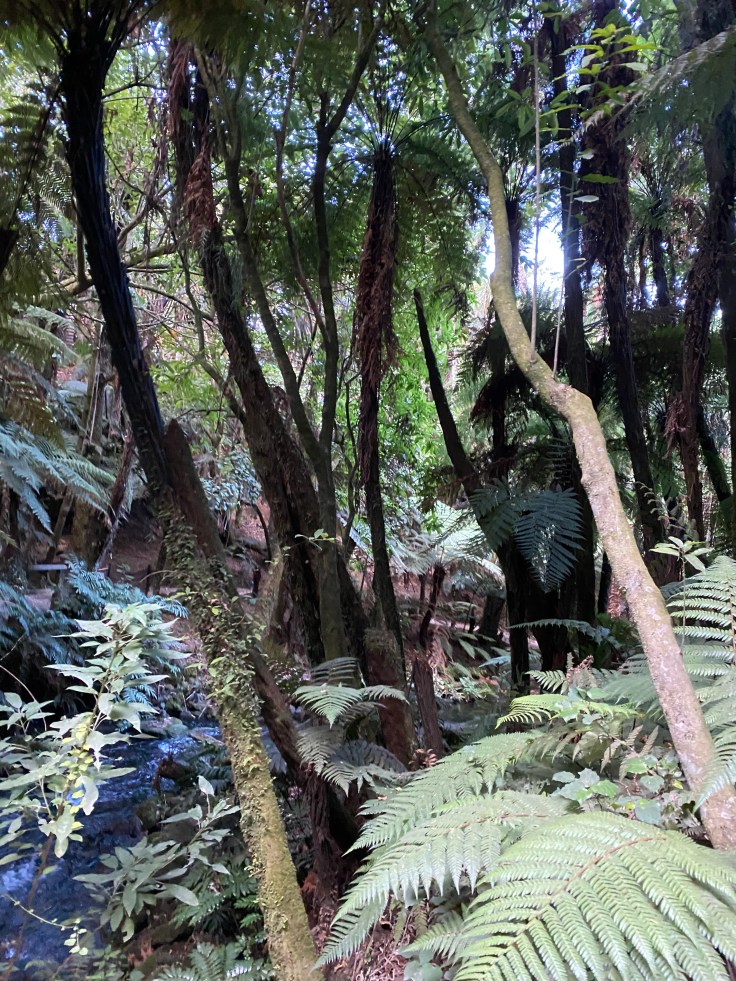 F2C456EC-7DBD-47B3-A996-808112DECD9F