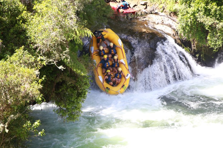 FE20569E-31C5-4F11-8C73-A45257353305